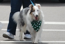 ImprettyandIknowit2013