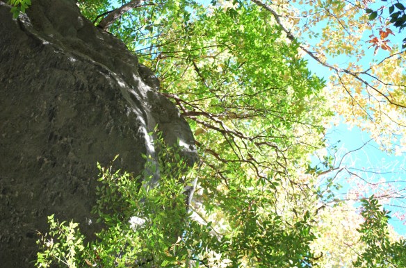 Undertheoverhang_2013