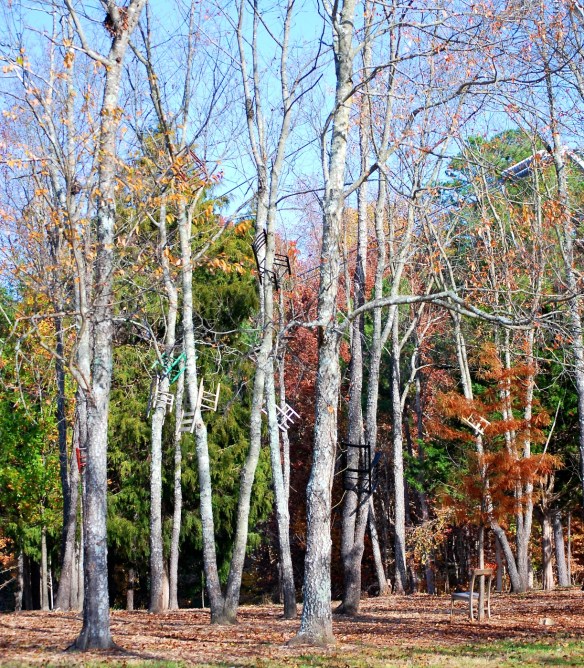 ForestfortheChairs_2013