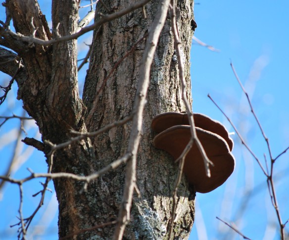 NatureSculpture_2013