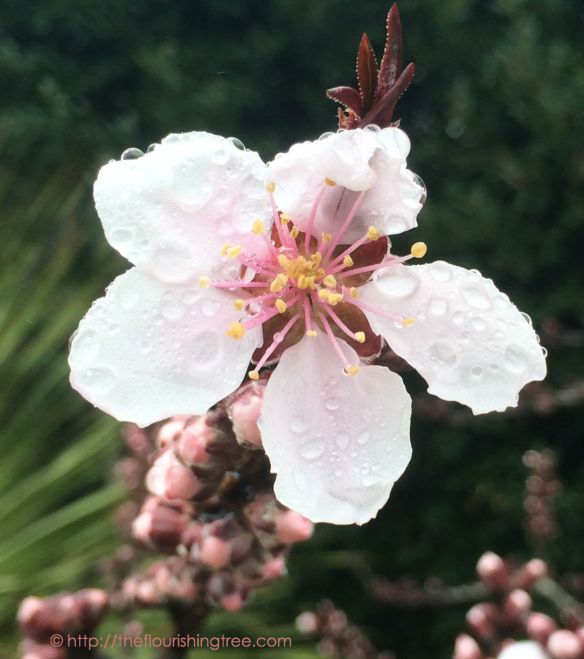 MarchMadness_2014_4ft