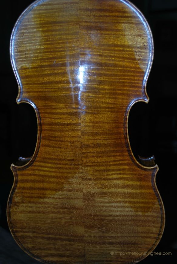Violinback2014ft