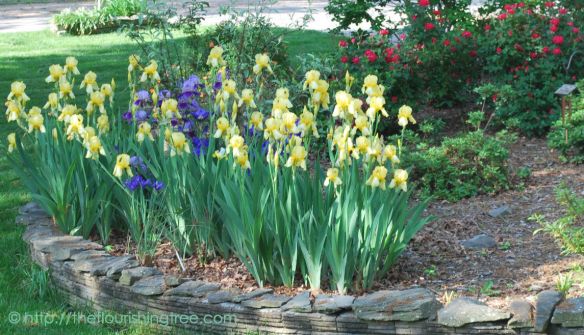 Spring2014RiotousGarden_1FT