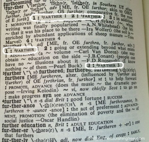 FurtherorFarther2014_dictionaryFT