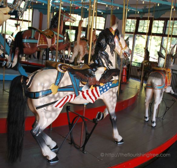 PullenPark_2014_carousel11FT