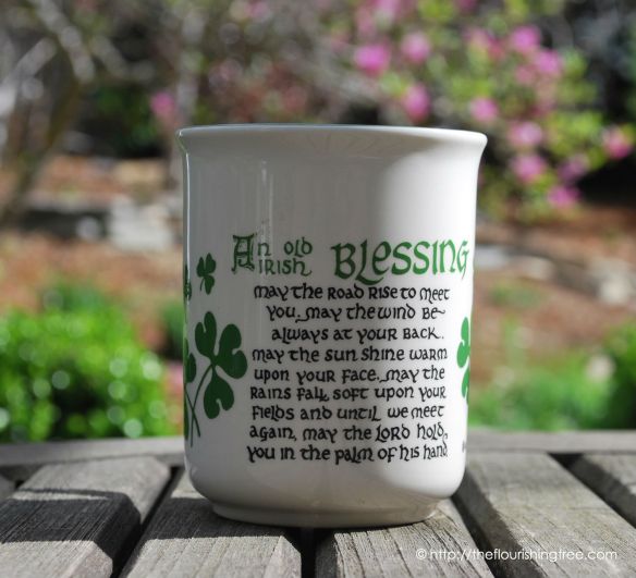 IrishBlessing_2015FT