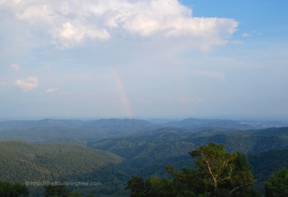 Snapshotsfromhome2015_5FT