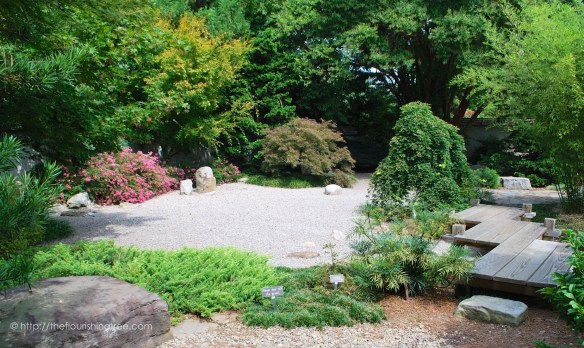 SnapshotsfromRaulston2015_2FT