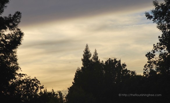 ScenesofFall2015_1FT