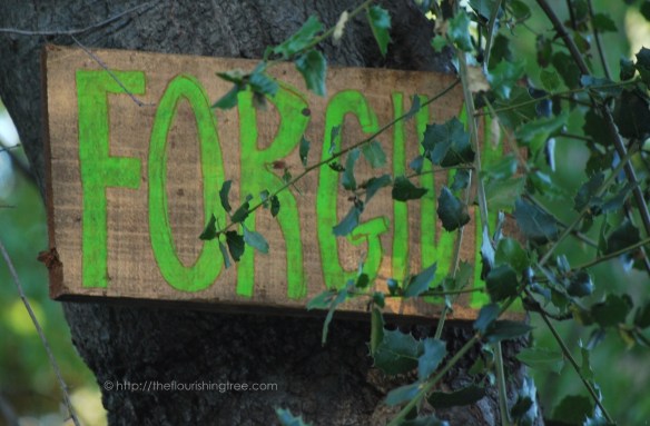 Treesigns2015_7FT