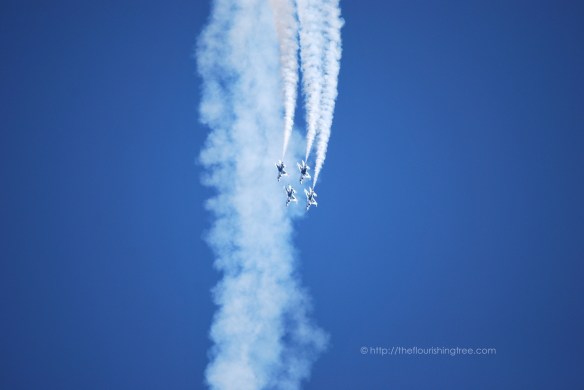 Airshow2015_1FT