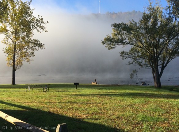 NewRiverMorning2015_3FT