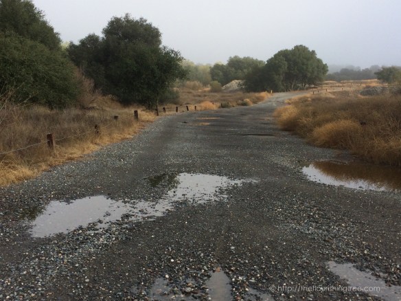 Seasonsandsurprises2015_5FT