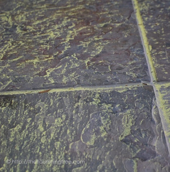 Seasonsandsurprises2015_6FT