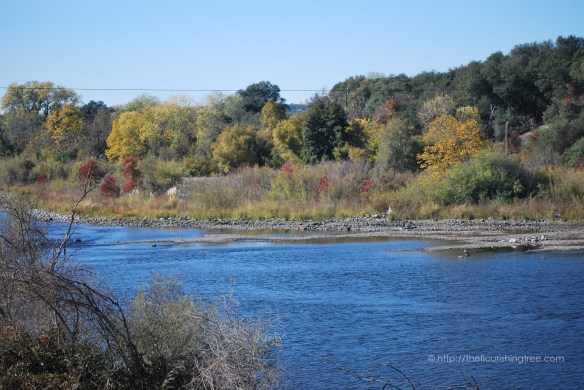 Thankful2015_riverFT