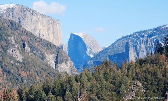Yosemite2015_13FT