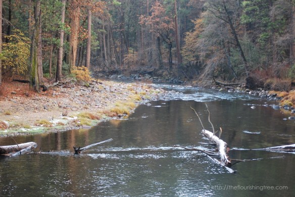 Yosemite2015_9FT