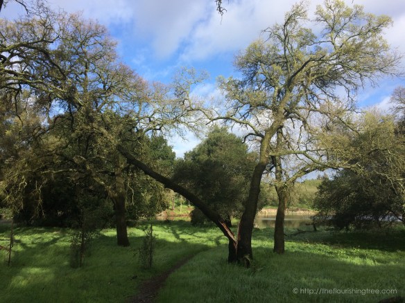 Afterthestorm2016_2FT