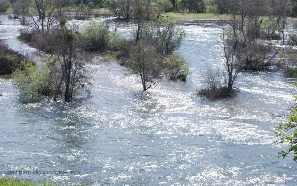 Afterthestorm2016_5FT