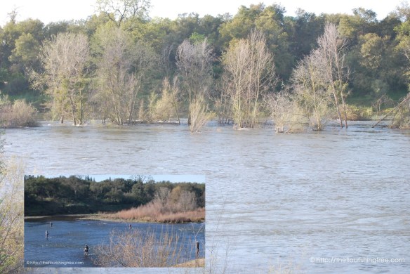 Afterthestorm2016_FT