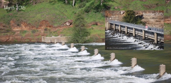 Afterthestormcomparison2016_FT