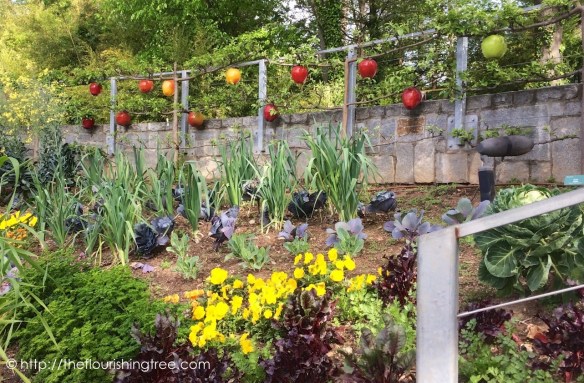 glassgarden2016_2 FT