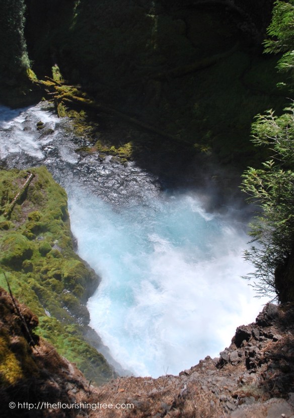 McKenzieRiver2016_ 11FT