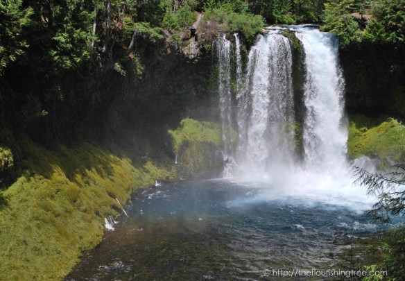 McKenzieRiver2016_ 4FT