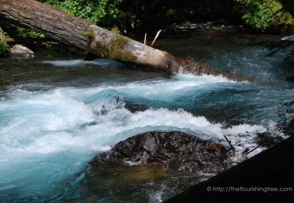 McKenzieRiver2016_ 7FT