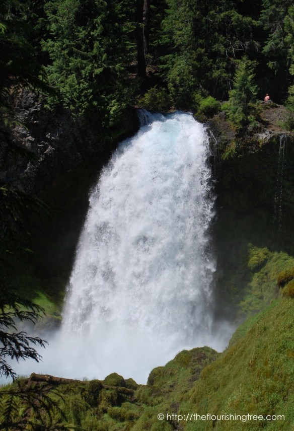 McKenzieRiver2016_ 9FT