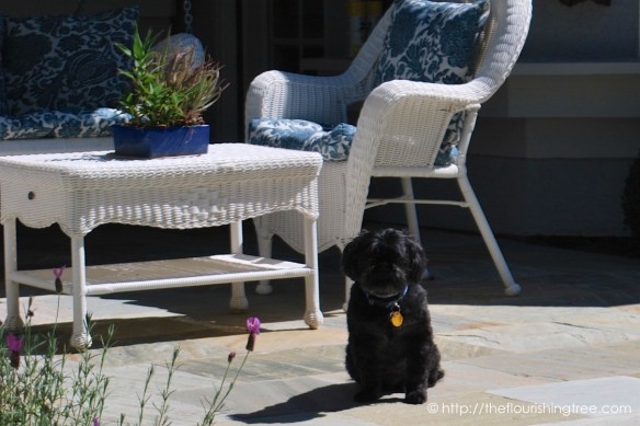 Friendgardens20161_6FT