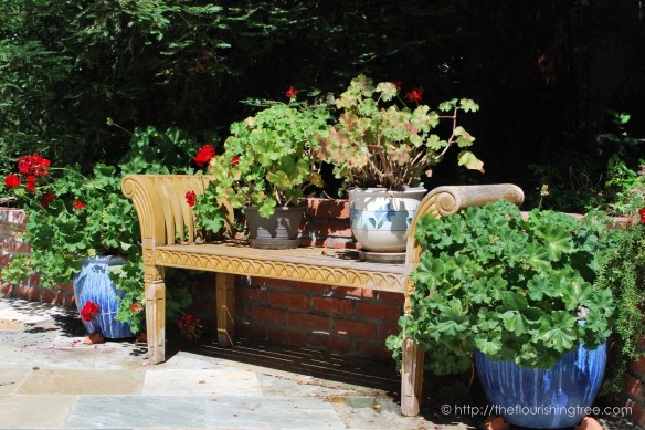 Friendgardens20161_7FT