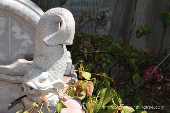 Friendgardens20163_FT13