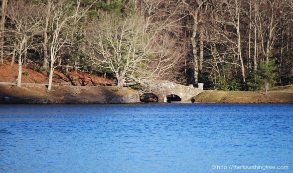 swanandcherishedplaces2016_2ft