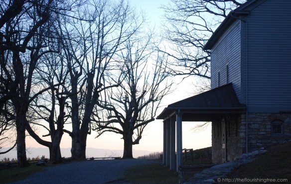 swanandcherishedplaces2016_4ft