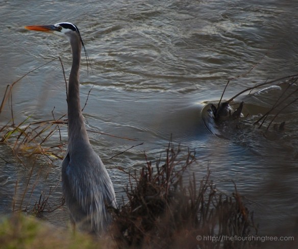 thecalmafter2017_3ft