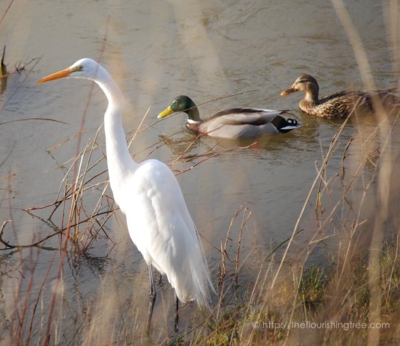 thecalmafter2017_5ft