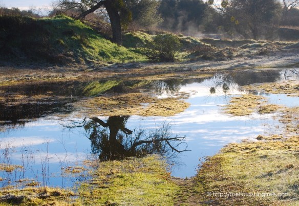 thecalmafter2017_8ft