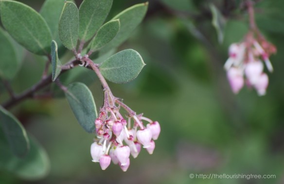 springspringing2017_5ft