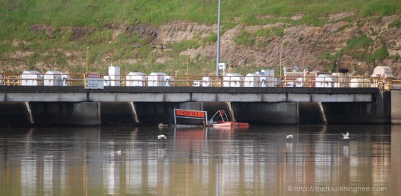 stillorraging2017_1ft