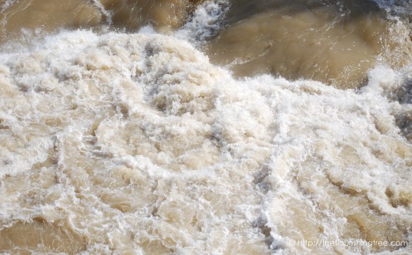 stillorraging2017_4ft